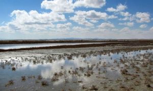 talab Gav Khouni lac