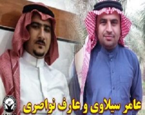 amer seylavi aref navaseri