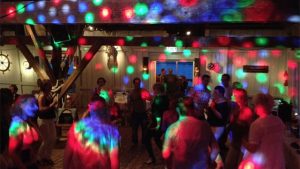 party artists arrests