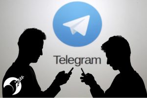 social media admins banned in Iran