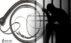 architect student 500x300