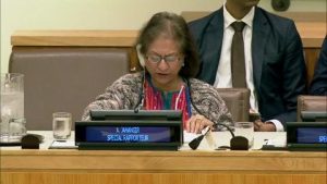 rapporteur nations unies