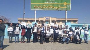 A group of teachers co workers Mohammad Habibi