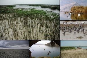 marais internationaux