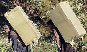 porteur transfrontaliers