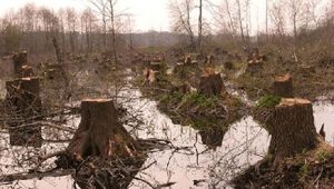 crise environnementale iran