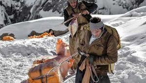 porteurs kurdes tués iran