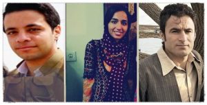 Nojin association iran