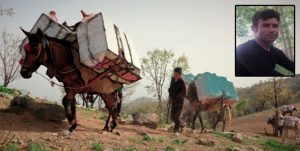 MohammadMoxizadeh koulbar iran