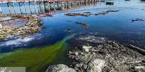 dégradation environnement iran