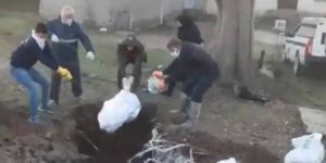 COVID 19 patients iran