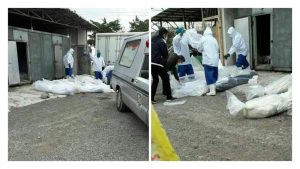 Rasht coronavirus iran