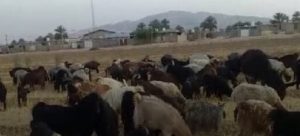 agriculteurs-iran