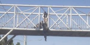 suicide
