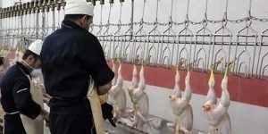 alimentations-iraniens-pauvrete-iran