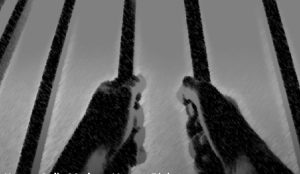 appel prisonnier politique iran csdhi