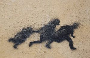 fuite-des-cerveaux-iran-csdhi