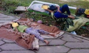 décrocheurs enfants iraniens iran csdhi