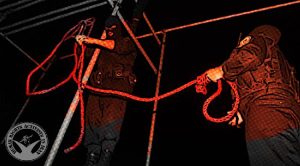 détenus ont été exécutés iran csdhi