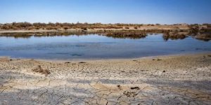 zones humides dévastées en iran csdhi