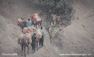 les pasdarans tuent kurdistan iran csdhi