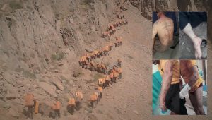 Koulbars-blesses-iran-csdhi