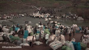 koulbars-blesses-iran-csdhi