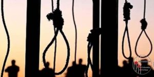 exécutions iran csdhi