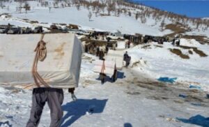 Koulbars-tues-ou-blesses-en-iran csdhi