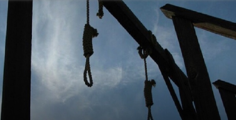 particpants-aux-manifestatios-de-2022-iran-csdhi