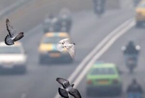 pollution-ecoles-iran-csdhi